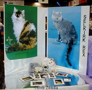 Selkirk Rex